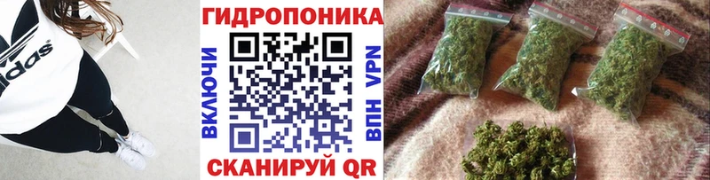 Продажа наркотиков Коряжма А ПВП  МЕФ  ГАШ  Канабис 