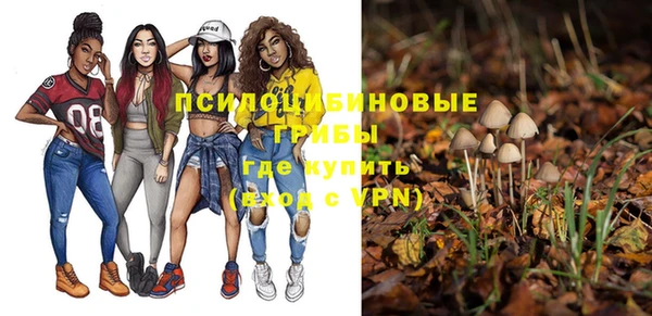 Альфа ПВП Переславль-Залесский