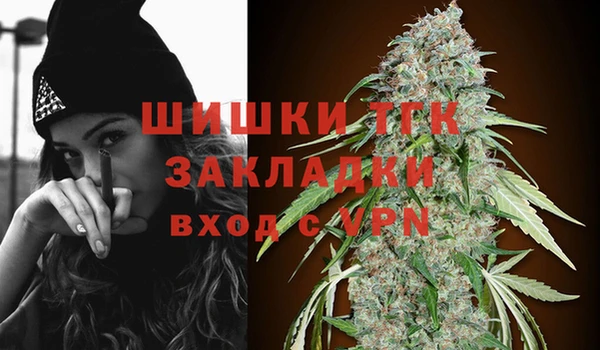 соль ск Пестово