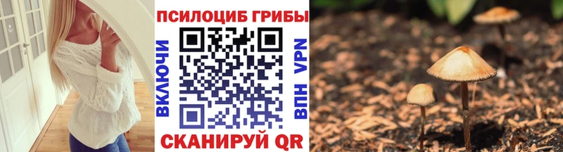 Галлюциногенные грибы Magic Shrooms  как найти   Коряжма 
