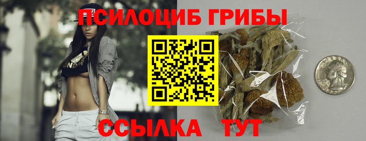 Псилоцибиновые грибы ЛСД Коряжма
