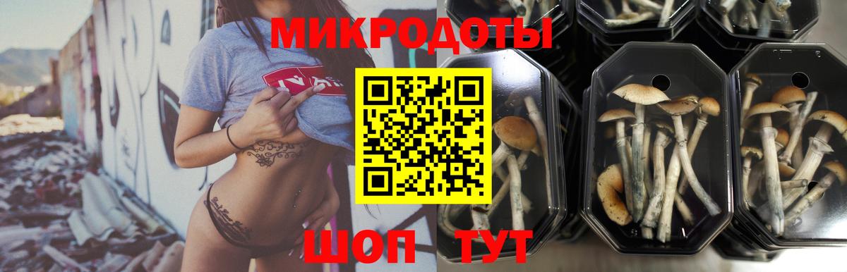 Галлюциногенные грибы Magic Shrooms  Вход с VPN  Коряжма  магазин    Псилоцибиновые грибы GOLDEN TEACHER 